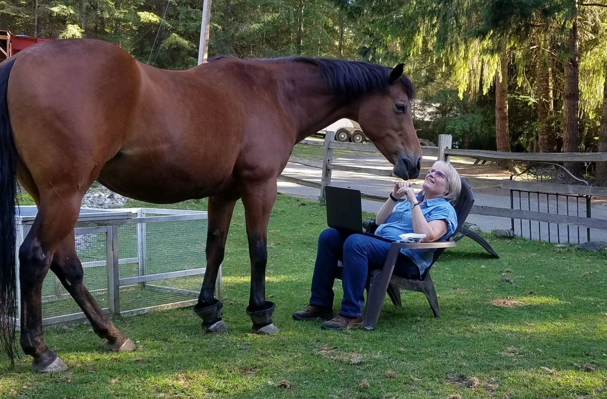 Brenda offering consulting to April the horse
